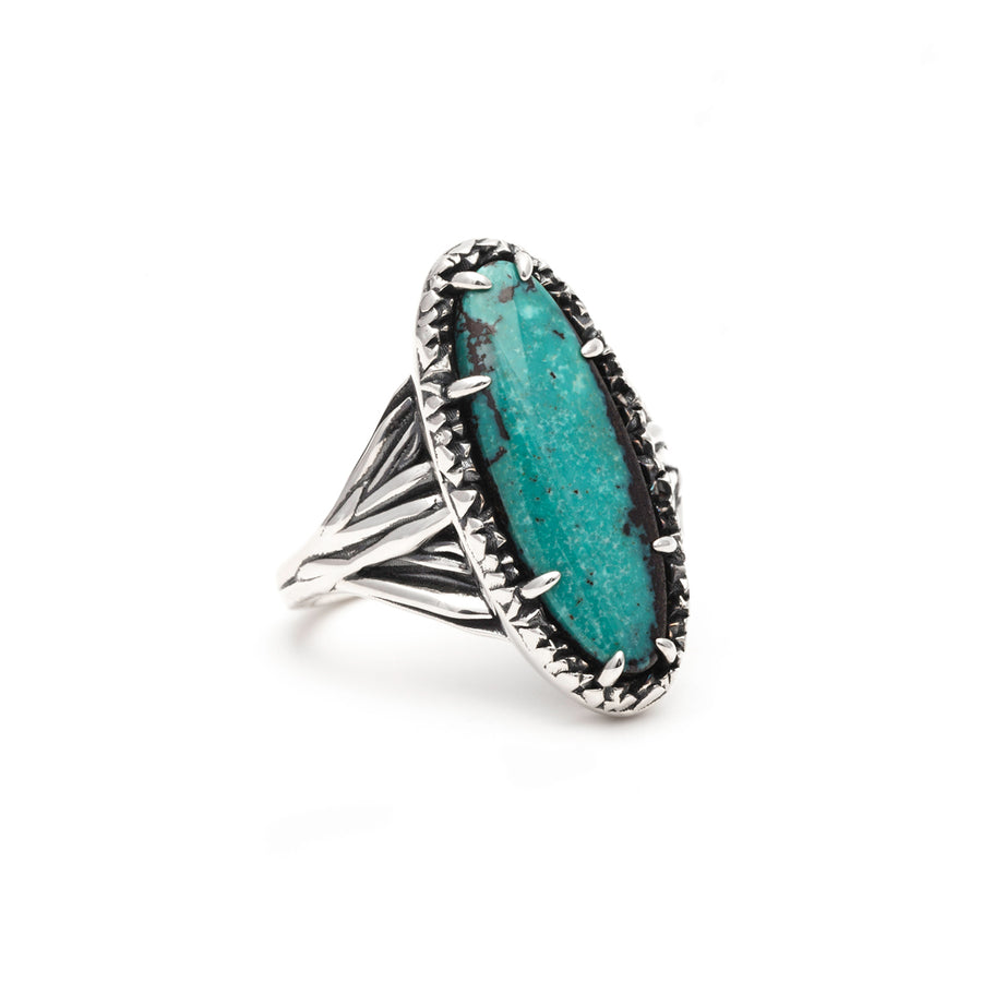 ROOTS TO SEED RING | SILVER & TURQUOISE - AngelaMonacojewelry