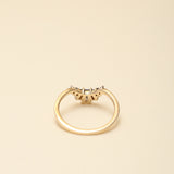 CROWN CONTOUR WEDDING BAND | 14K GOLD | SALT & PEPPER DIAMONDS