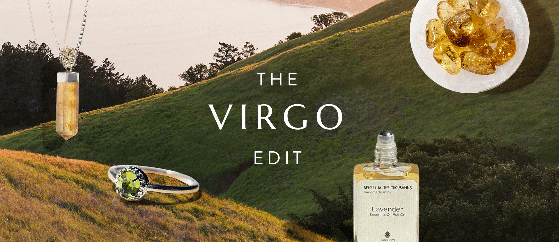 THE VIRGO EDIT