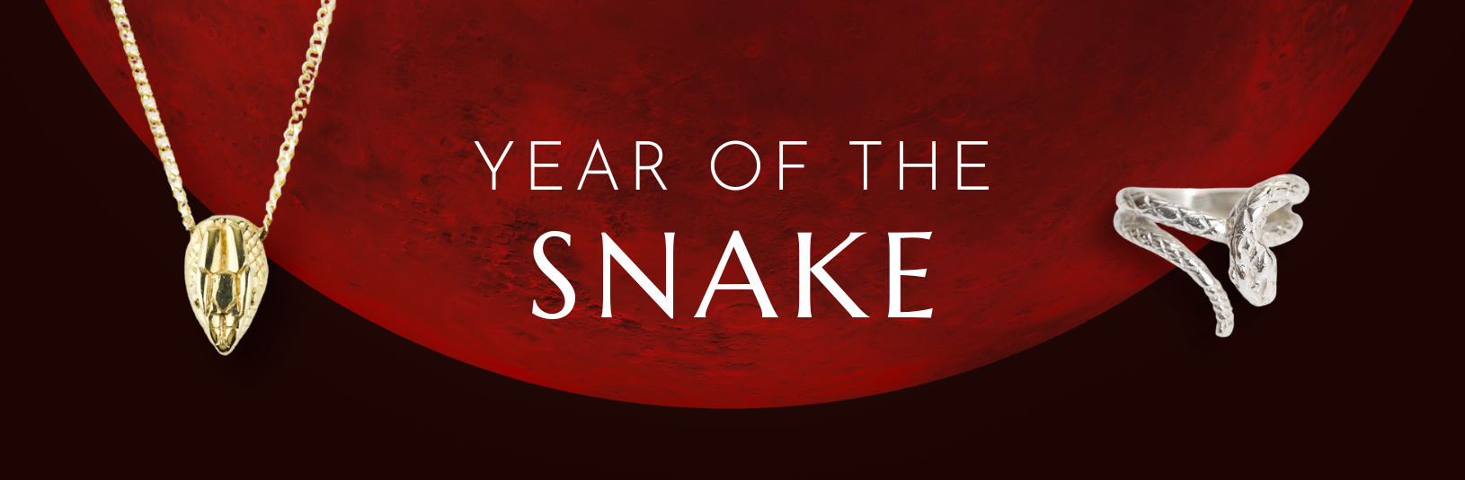 2025: The Year of the Snake