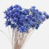 WHITE SAGE + WILDFLOWERS SMUDGE WAND | PURPLE