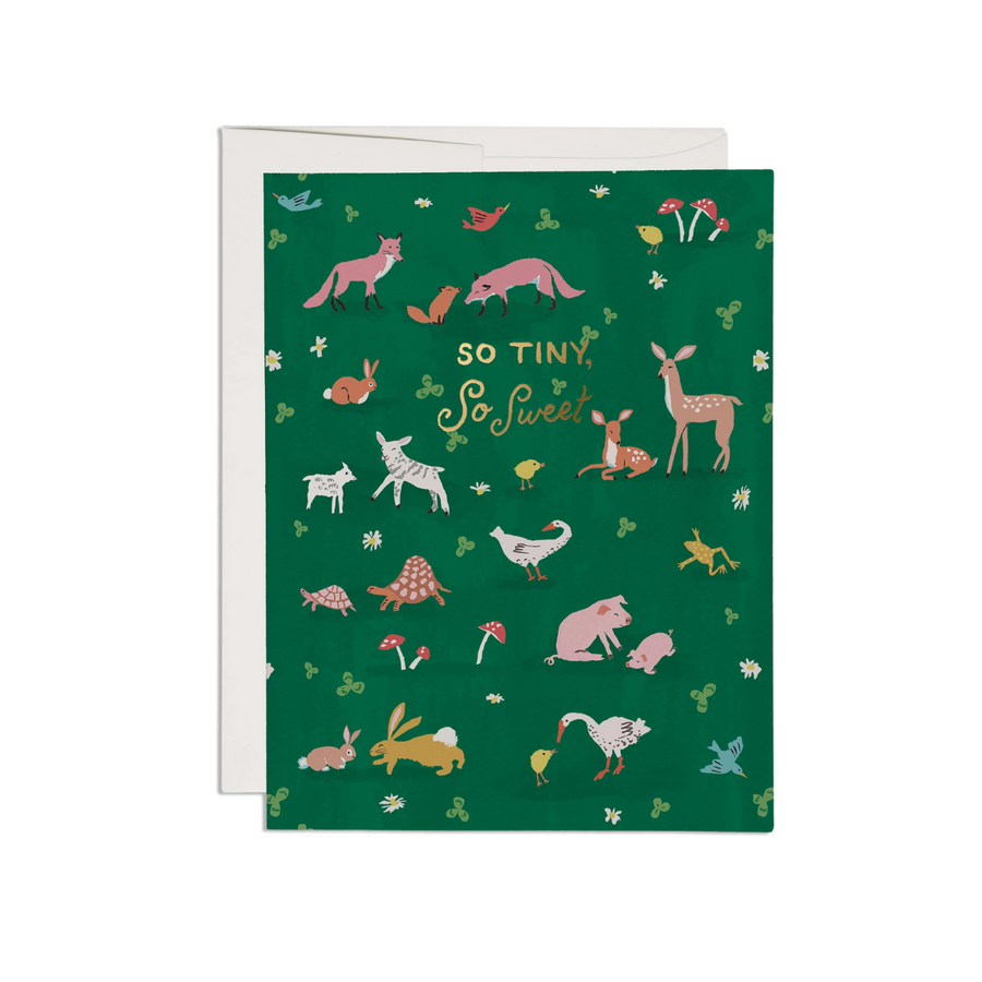 TINY ANIMALS BABY GREETING CARD | RED CAP CARDS