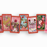 PENGUIN RANDOM HOUSE | GODDESS OF LOVE TAROT