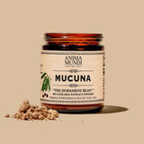 MUCUNA EXTRACT POWDER | "THE DOPAMINE BEAN"