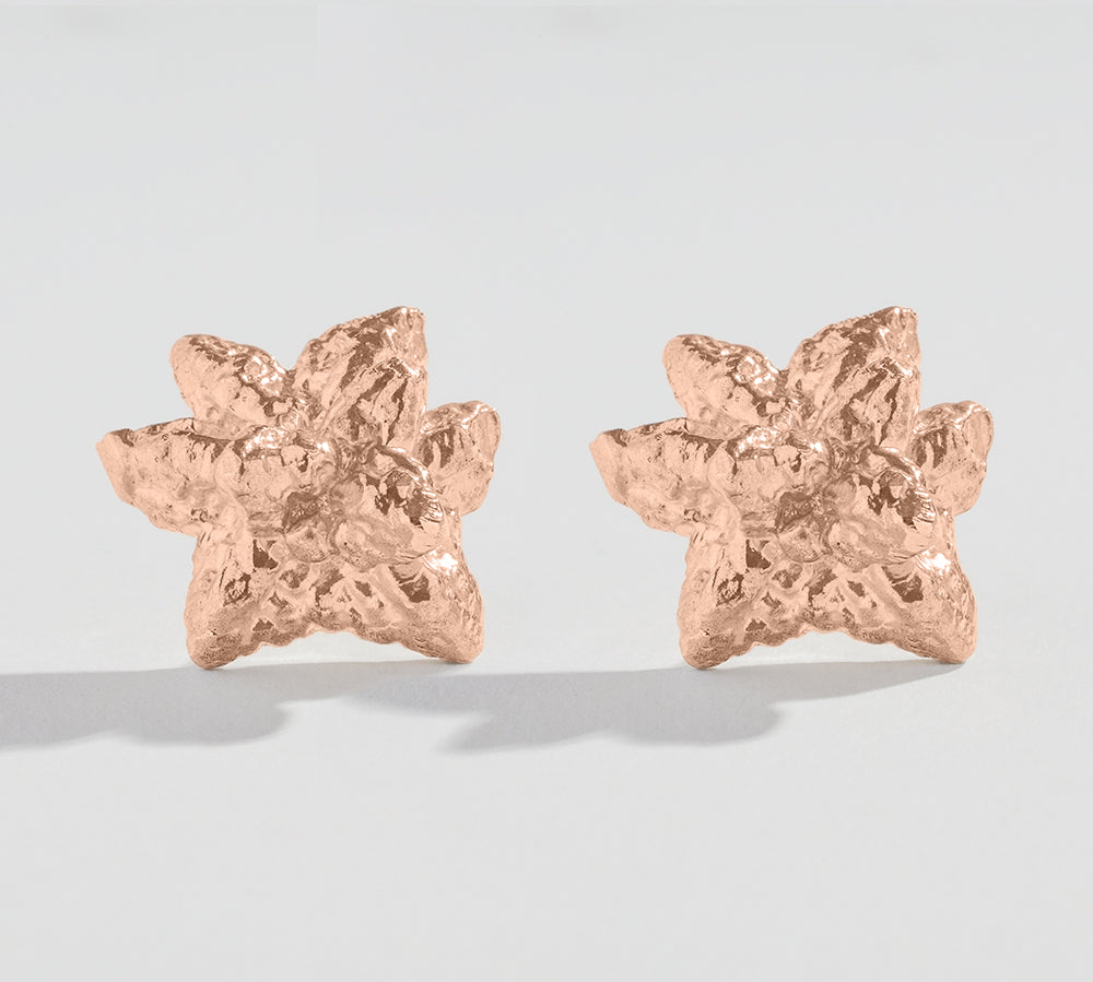NORTHERN LIGHTS CRYSTAL CAST STUDS