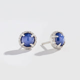 MATRIX HALO EARRINGS | 14K GOLD & STAR SAPPHIRE