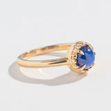 MATRIX HALO RING | 14K GOLD  | STAR SAPPHIRE
