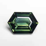 2.55ct 10.39x7.40x3.83mm Hexagon Step Cut Sapphire 22312-05