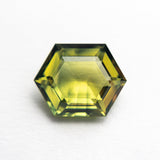 3.29ct 10.56x8.26x4.23mm Hexagon Step Cut Sapphire 22763-01