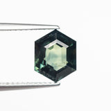 3.04ct 9.36x7.45x5.19mm Hexgon Step Cut Sapphire 22765-01