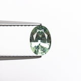 0.84ct 6.91x4.95x3.09mm Oval Brilliant Sapphire 23426-14