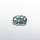 0.93ct 6.85x4.94x3.41mm Oval Brilliant Sapphire 23426-31