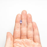 1.54ct 7.72x5.58x4.29mm Oval Brilliant Sapphire 23620-01