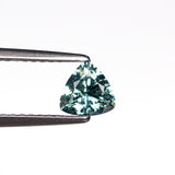 0.63ct 5.16x5.34x3.19mm Trillion Brilliant Sapphire 23692-01