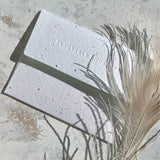 A LITTLE LIGHT | SYMPATHY CARD | SEEDLINGS PLANTABLE ENVELOPE