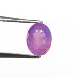 1.03ct 6.78x5.22x3.35mm Oval Brilliant Sapphire 28248-01