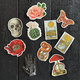 Magic Mushroom Waterproof Sticker