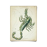 VINTAGE ZODIAC ASTROLOGY PRINT