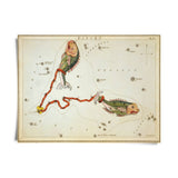 VINTAGE ZODIAC ASTROLOGY PRINT