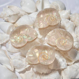 SIREN CLAW | SEA SHELL ACETATE HAIR CLIP