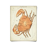 VINTAGE ZODIAC ASTROLOGY PRINT