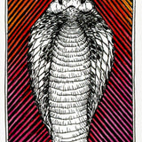 WILD UNKNOWN ANIMAL SPIRIT DECK | FULL SIZE