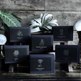 PROSPERITY SPELL KIT