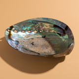 LUXURY ABALONE SHELL SMUDGE BOWL