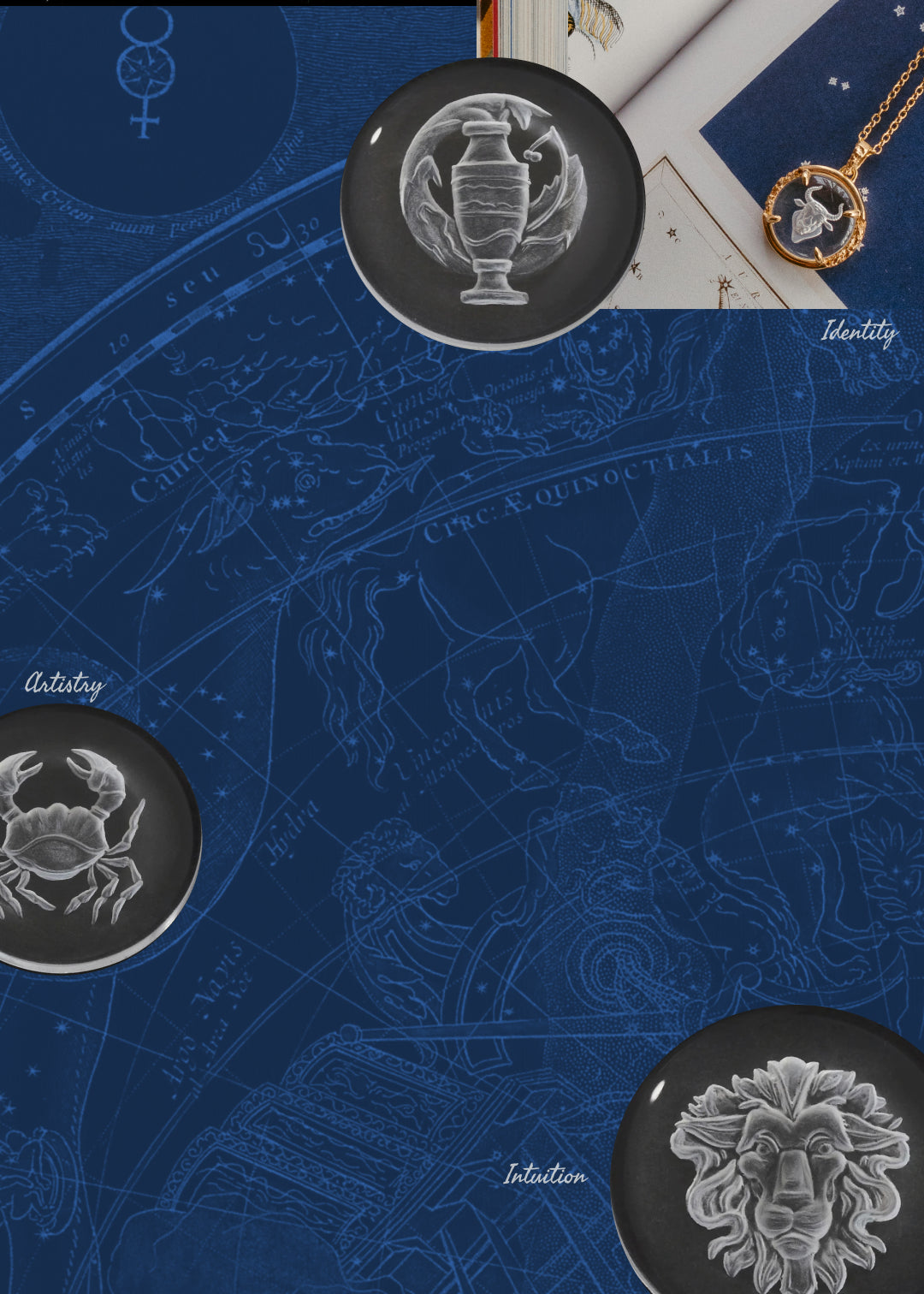 Introducing the Cosmic Blueprint Collection