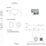 3.02ct | H/VS1 Oval Shape Rose Cut Lab Diamond (IGI)