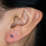 PRONG SET KITE-CUT BLUE SAPPHIRE STUDS | 14K