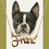 FRANC HEALING RAFFLE