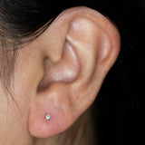 TINY PRONG SET FLAT BACK STUD | NATURAL DIAMOND | 14K