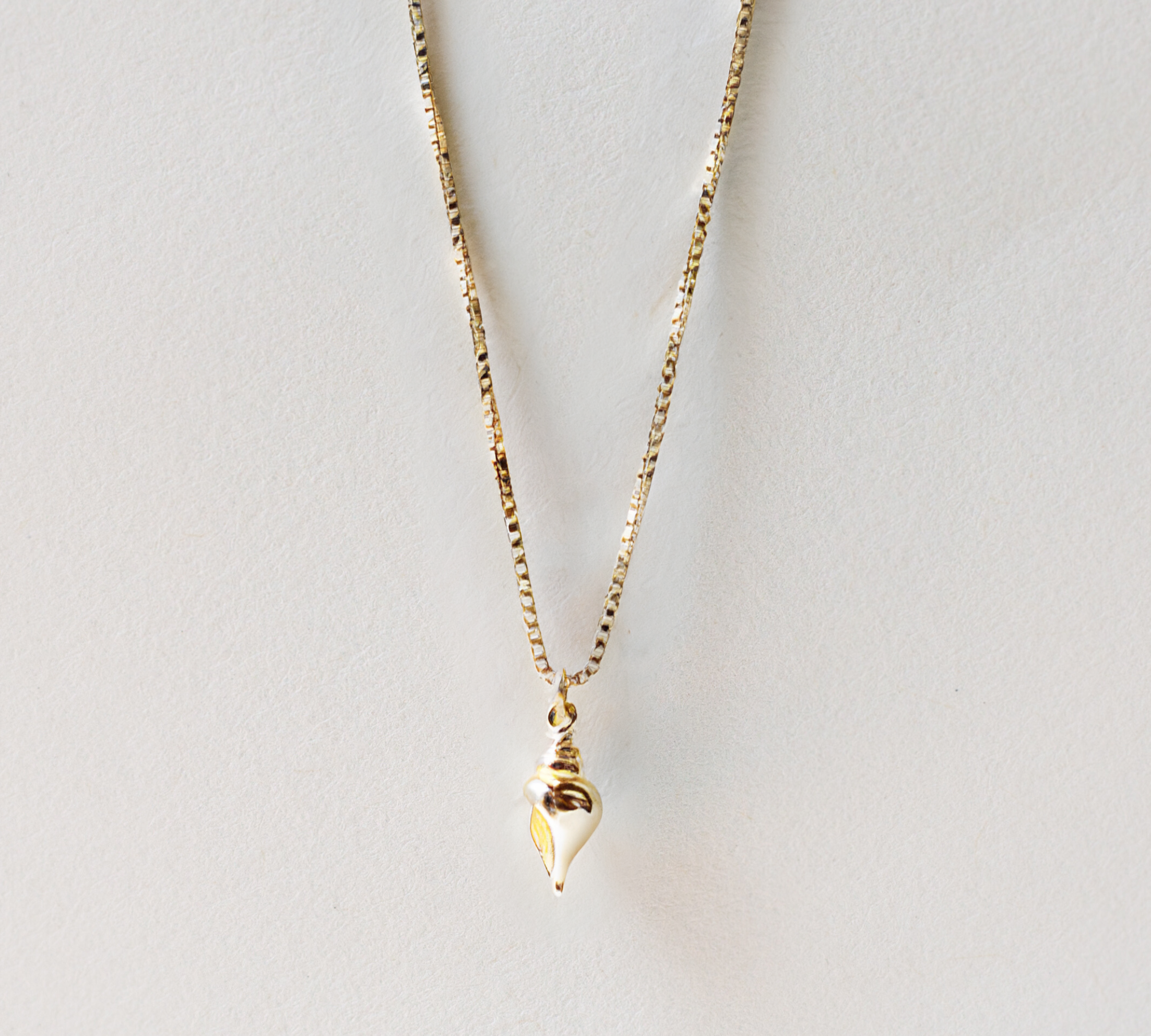 🎁 TULIP SHELL CHARM (100% off)