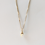 🎁 TULIP SHELL CHARM (100% off)