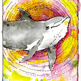 WILD UNKNOWN ANIMAL SPIRIT DECK | FULL SIZE