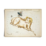 VINTAGE ZODIAC ASTROLOGY PRINT
