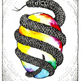 WILD UNKNOWN ANIMAL SPIRIT DECK | FULL SIZE