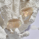 SIREN CLAW | SEA SHELL ACETATE HAIR CLIP