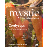 CORDYCEPS | FRUITING BODY | 1:1