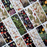 GARDEN FLOWERS | DOUBLE SIDED BOOKMARK WITH VINTAGE MARBLING