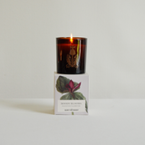 THE QUIET BOTANIST | MOODY BLOOMS CANDLE BLACK VIOLET & ABSINTHE