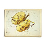 VINTAGE ZODIAC ASTROLOGY PRINT