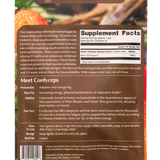 CORDYCEPS | FRUITING BODY | 1:1