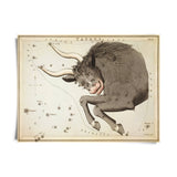 VINTAGE ZODIAC ASTROLOGY PRINT