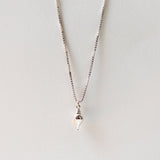 🎁 TULIP SHELL CHARM (100% off)