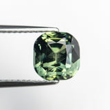 3.07ct 7.38x7.12x5.87mm Cushion Brilliant Sapphire 19884-01