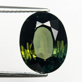 6.26ct 12.42x9.59x5.97mm Oval Brilliant Sapphire 21606-01