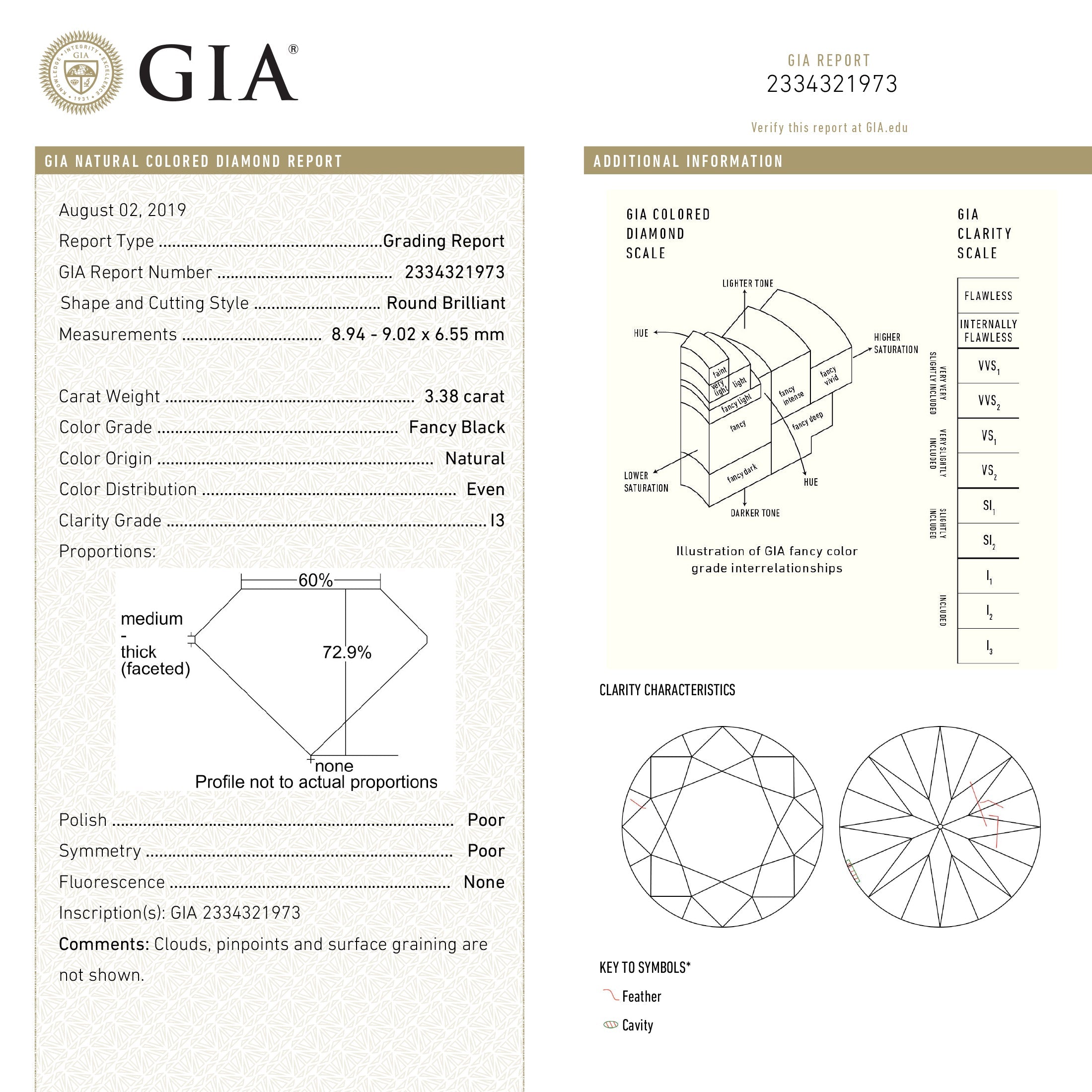 3.38ct 9.02x8.94x6.55mm GIA Fancy Black Round Brilliant Cut 18847-01 - Misfit Diamonds
