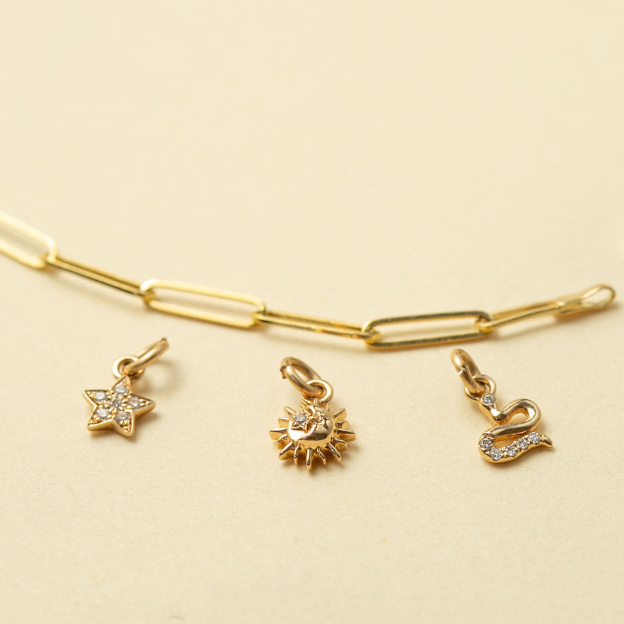 angela monaco jewelry philadelphia jeweler classic paperclip chain bracelet 14K yellow gold charms star sun snake